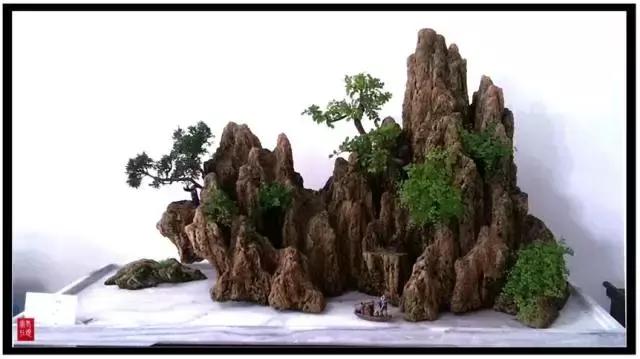 世界上最美的盆景有哪些,世界上最美的盆景