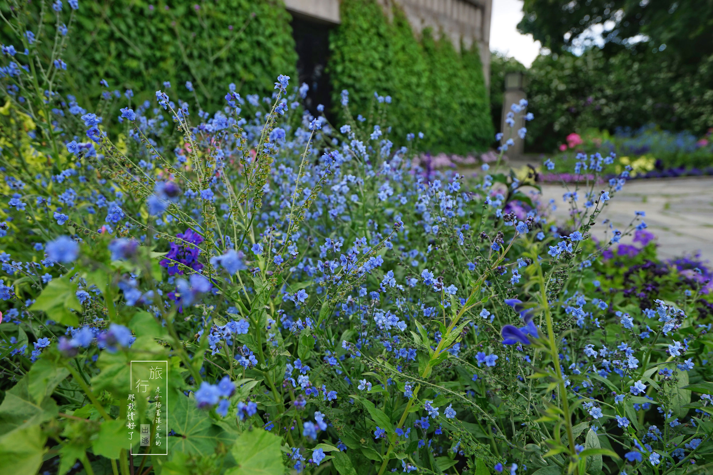 跟团怎么分辨靠不靠谱,怎么选择跟团的旅游行程