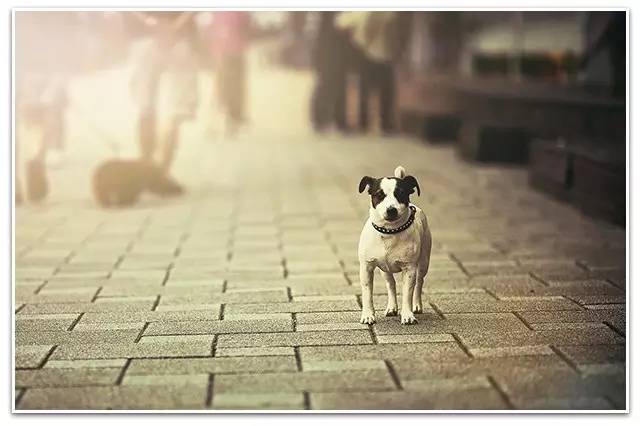 小钱频道|全球股市噩梦初醒亚太股市“猴”来运转