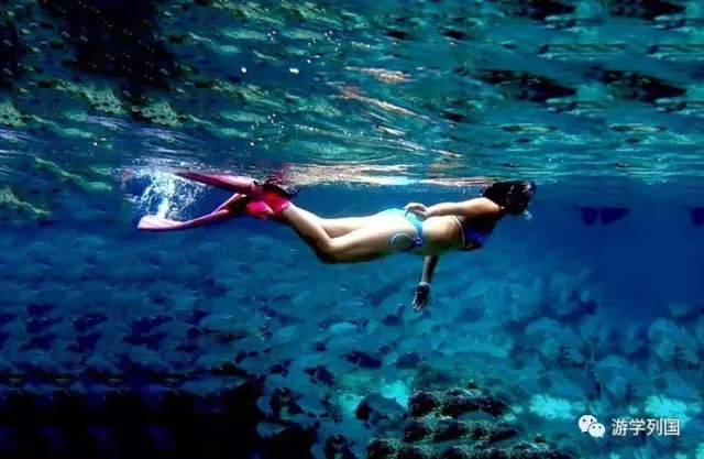 泰国旅行不一样的泰国风情,2024泰国游学之旅