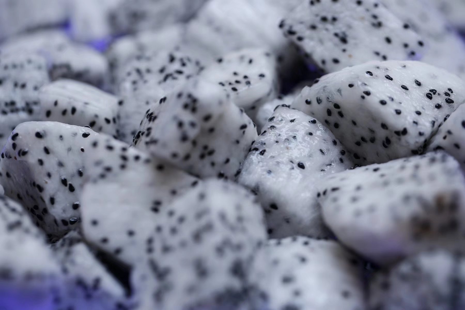 这样的休闲度假方式也很不错