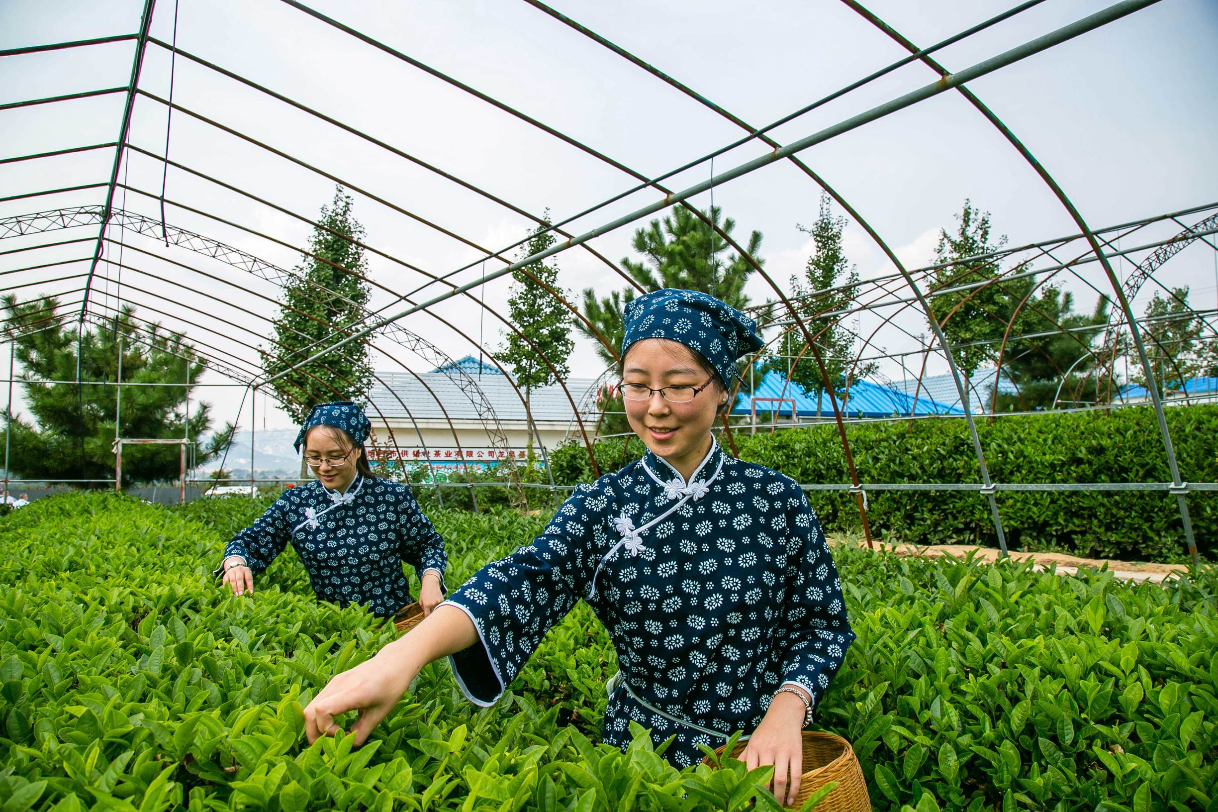 烟台龙泉温泉小镇,烟台市龙泉温泉度假村门票