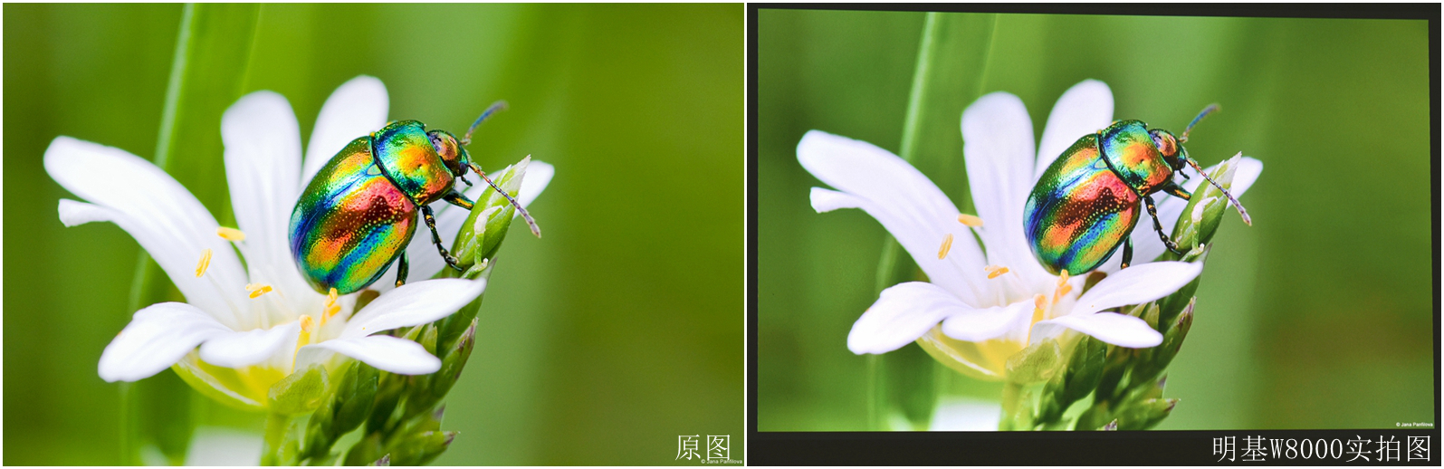 明基w14003d使用体验,明基w8000配置