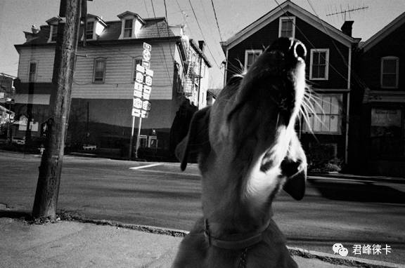 徕卡最顶级的28mm镜头,徕卡50毫米镜头哪款最经典