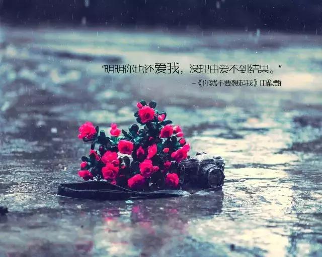 有哪些歌最打动你,哪些歌词打动人心