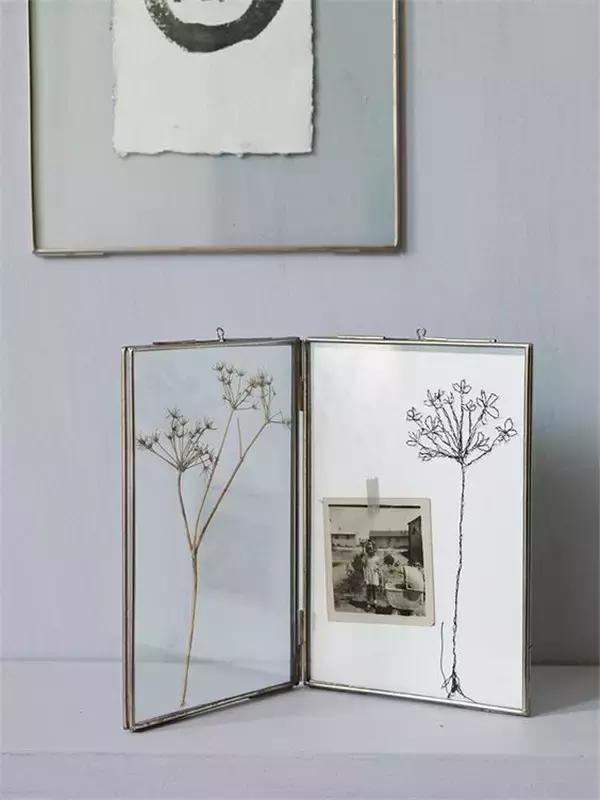 植物标本挂在墙上好看 (植物标本挂墙上)