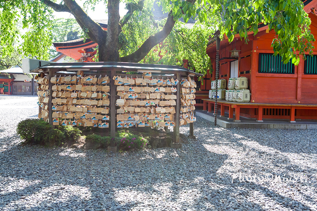 澳门航空空姐游东京 富士山下遇见最美的樱花