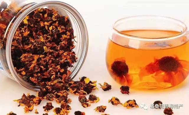 新疆天山昆仑雪菊的功效,天山昆仑雪菊旗舰店