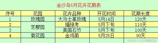 金沙岛旅游门票,周末福利大放送千万别错过