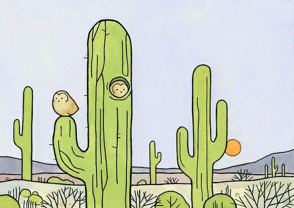 三个常用的信用卡管理软件,理财管卡两不误