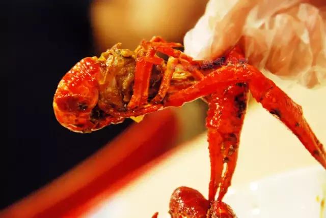 合肥特色龙虾店,合肥龙虾便宜推荐店有哪些