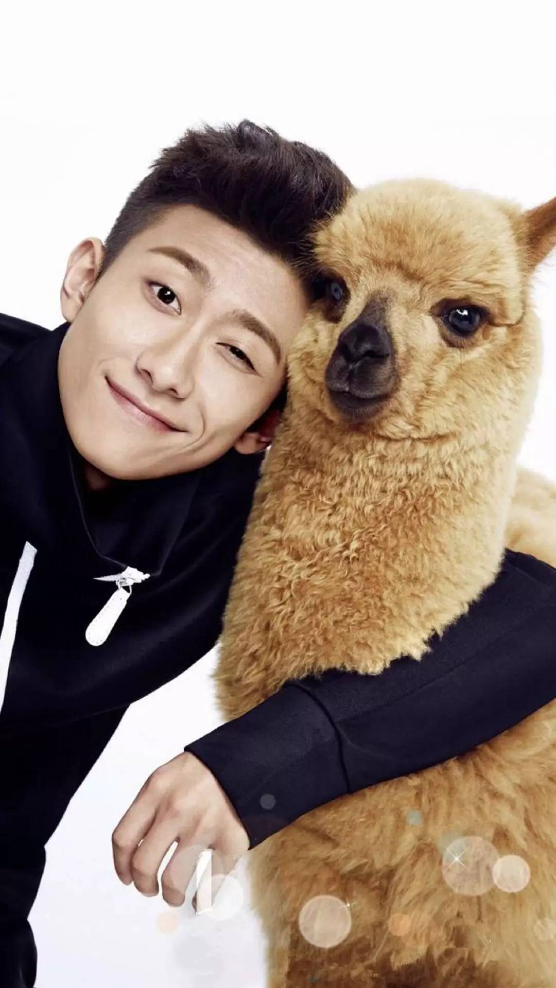 中国帅哥合集高颜值图集,国产男星帅哥