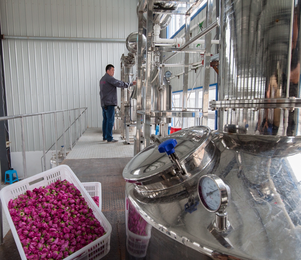 循着玫瑰香来到*瑰园玫**