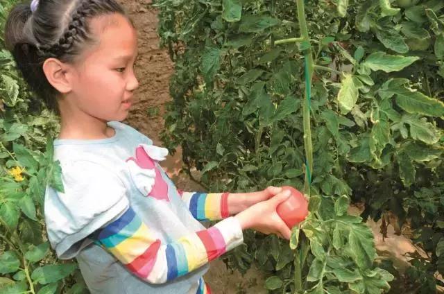 大西安·微PK｜阎良区竟然还有这么多名字你知道几个？