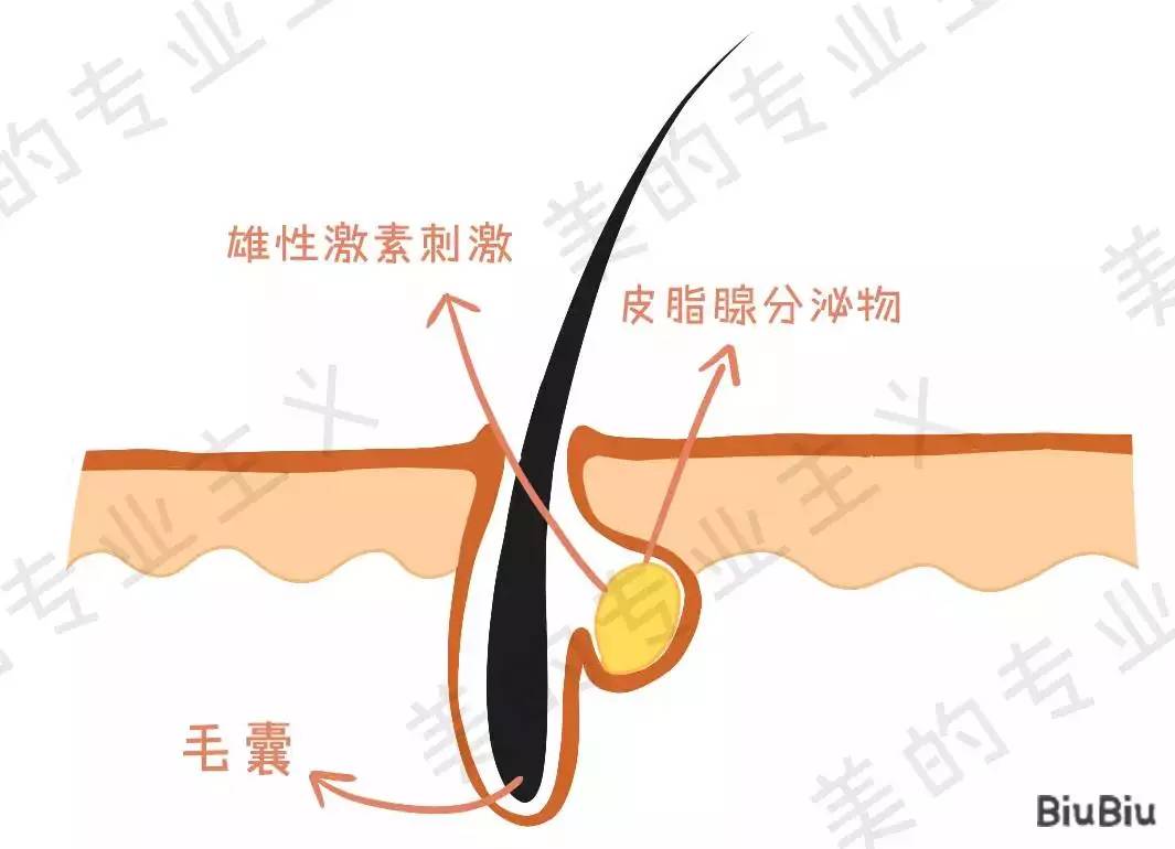 大美人祛斑美白,大美人祛痘