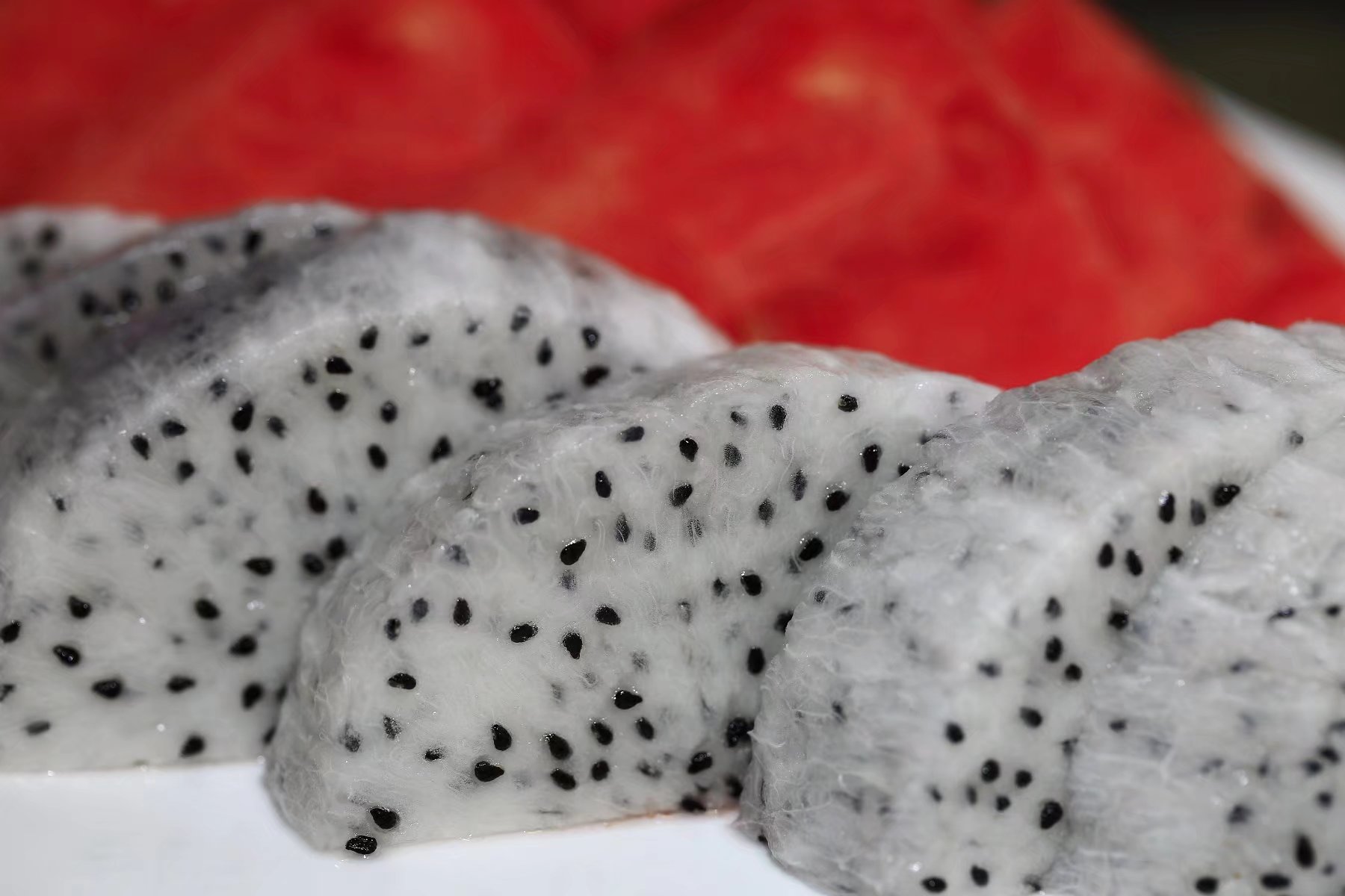 这样的休闲度假方式也很不错