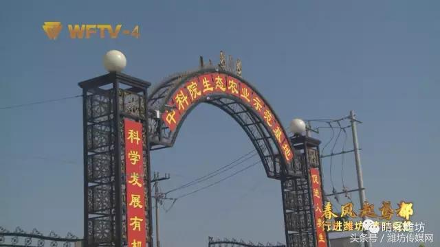 飞越齐长城:生态发展的竹山模式