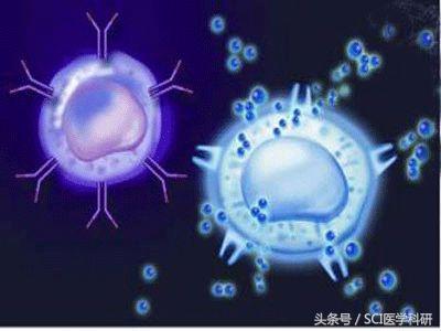 黑色素瘤转移无靶向药能救吗,转移性恶性黑色素瘤找不到原发灶