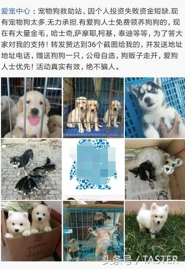 转发说说送小狗?集赞30送樱桃?又到夏天这群*子骗**又来了!