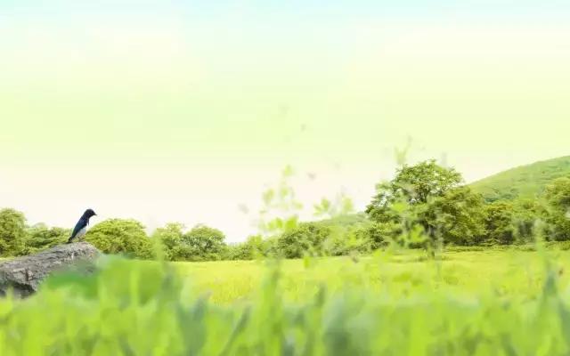 养心才是养生,养生养心养人