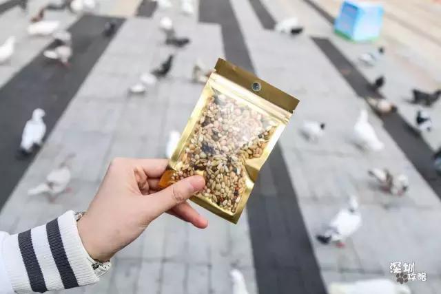 千万不要离开福田!