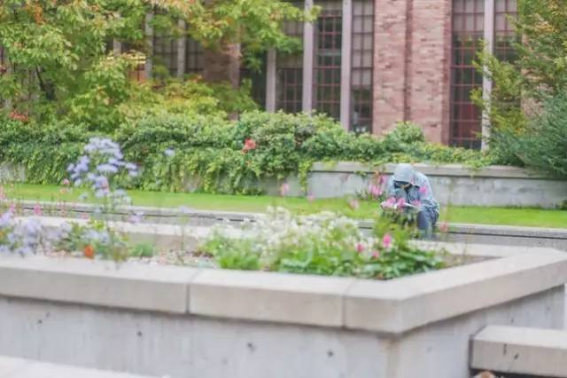 西雅图最浪漫的地方,西雅图一个充满文艺又浪漫的地方