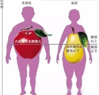 鐪嬪畬杩欎釜瑙嗛浣犱細鐢ㄧ敓鍛藉幓鍑忚偉,鐪嬪畬杩欎簺浣犱細鐢ㄧ敓鍛藉幓鍑忚偉