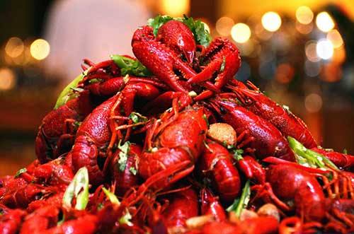 丹麦小龙虾吃货,生蚝澳洲龙虾