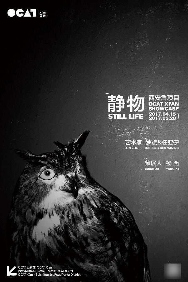 西安周末遛娃好去处推荐,西安本周末活动