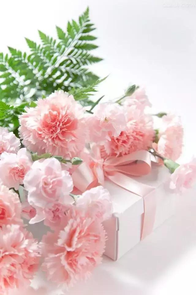 母亲节特惠礼盒,母亲节礼品套盒