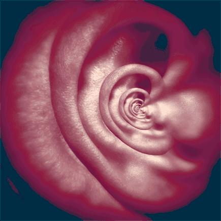 失眠动态图片看了就有睡意,治失眠的图片五秒入睡