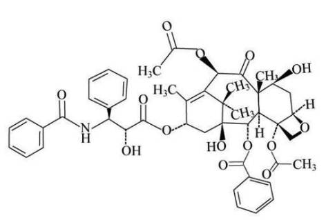 凡人志—贰—每天检查癌症患者病历的临床研究监察员（CRA）