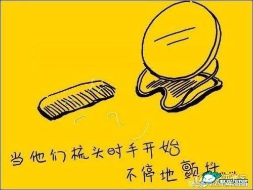 母亲节特辑上下集,母亲节特辑第二弹