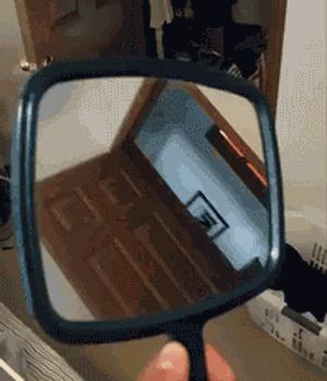 功夫猫搞笑动态图片,搞笑蓝猫gif动图