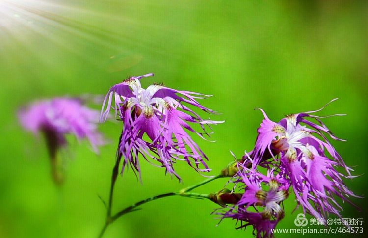 走过四季夏天最美,走过春夏美丽的秋冬
