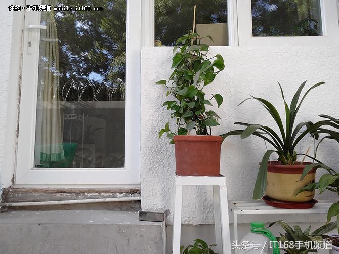 可能是坚果Pro最详细的体验：这手机好不好看完就知道了