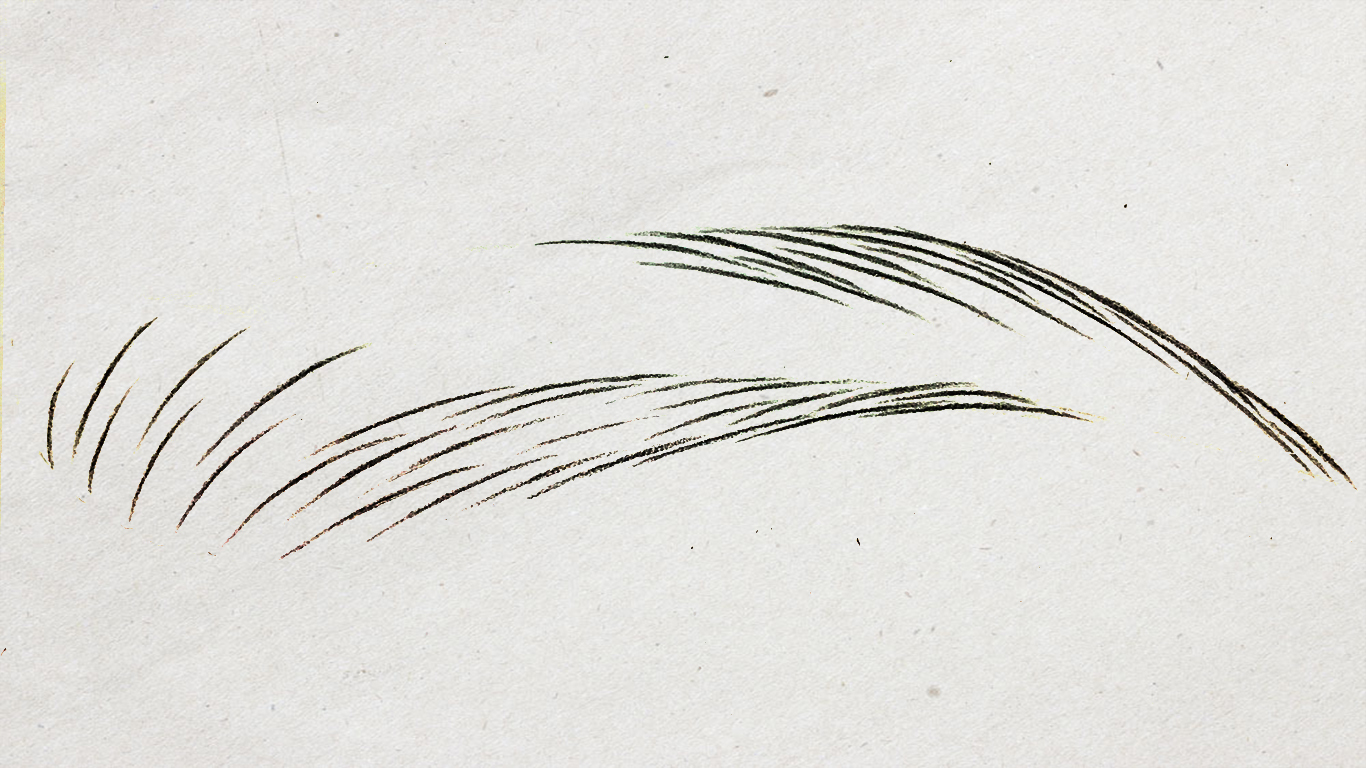 纸上仿生眉线条画法分解,线条眉纸上单根画法与步骤