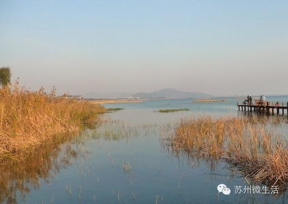 苏州最值得去的五个景点,苏州最值得去的10个景点排名