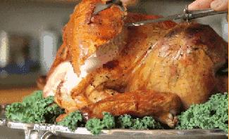 可以治病的菜,治百病的养生菜