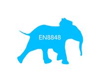 六级翻译中国特色词汇,英语四六级翻译常用词汇传统节日