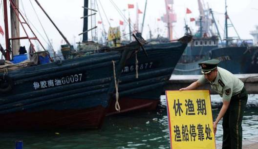 哈尔滨吃货，这8种你爱吃的海鲜全面禁售，活的冰鲜的统统不能卖