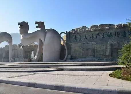 外地人有福了!是谁整理的这本青岛玩乐指南?我要奖励他!