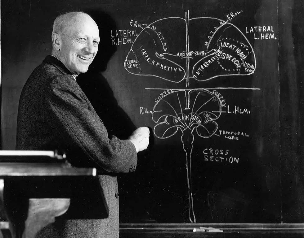 耳鬓厮磨是什么感觉,耳鬓厮磨的含义是什么