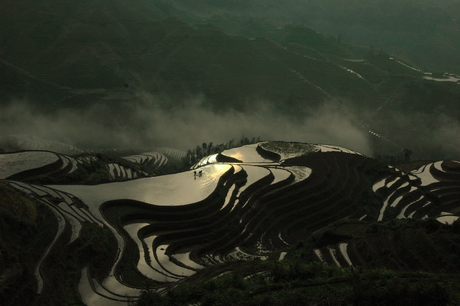 龙胜梯田旅游游记,醉美梯田畲乡