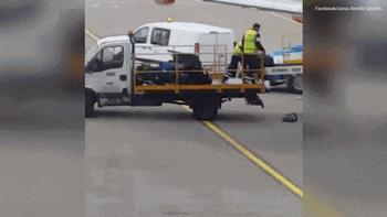 行李丢失,行李破损了要怎么补