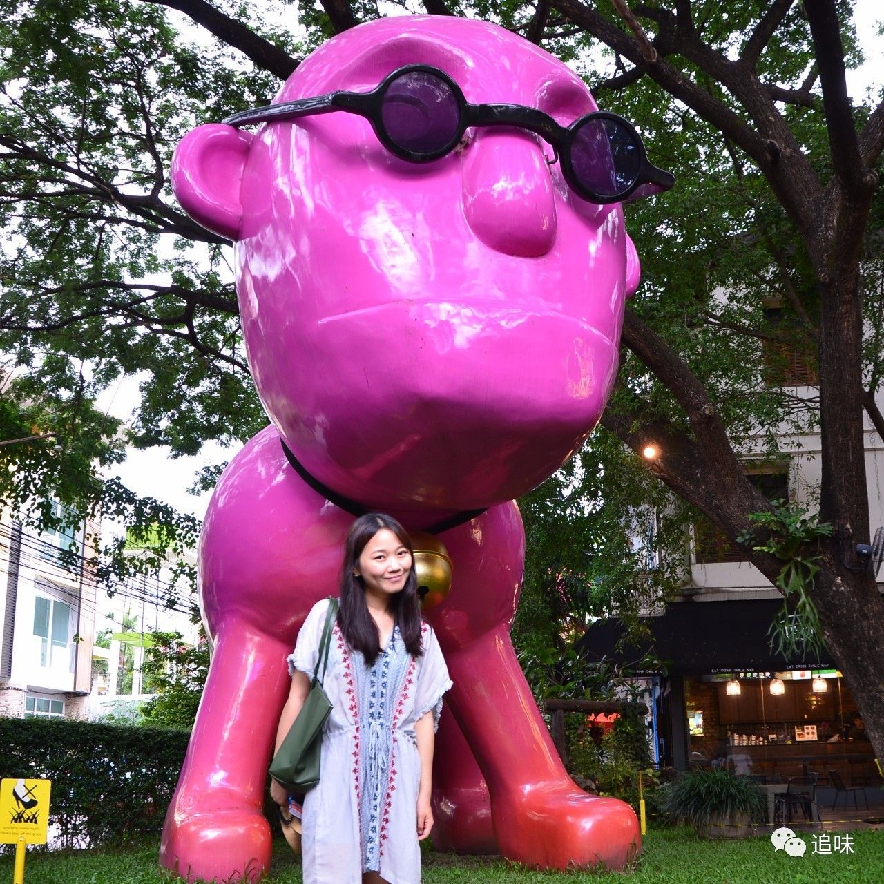 如果一年只能买一双跑鞋怎么选,如果一年只选一个款你会选哪个