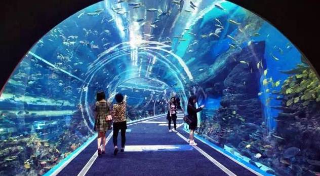 成都有没有哪里能看海,成都有海的地方一天游