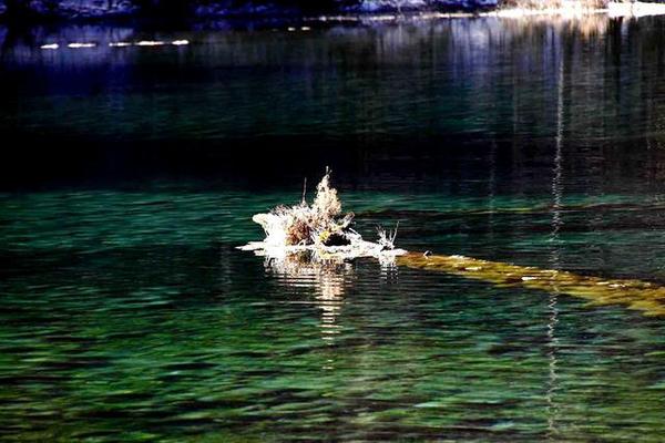 九寨沟的冬天是一幅精美的水墨画,冬天五彩池九寨沟