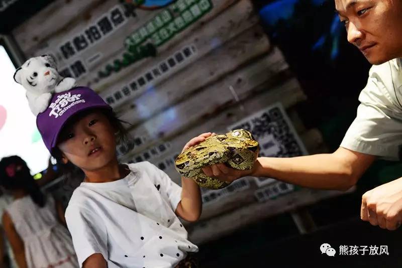 广州长隆野生动物园游玩攻略,广州长隆野生动物园攻略自由行