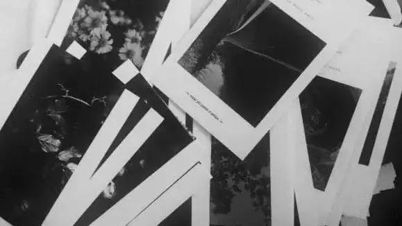 黄埔长洲岛美食,黄埔星期天集市